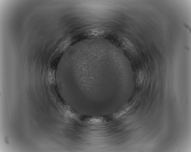 X0000098010236200803281319