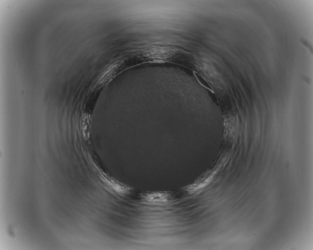 X0000098010237200803281319