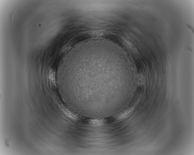 X0000098010238200803281319