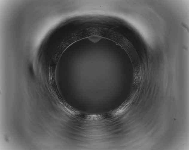X0000098010239200803281319