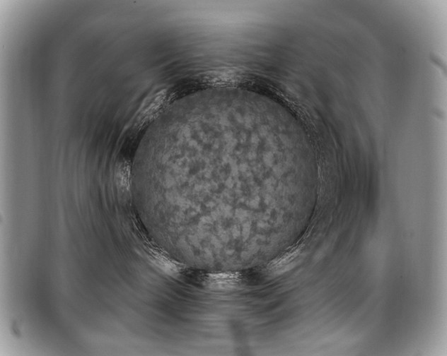 X0000098010240200803281319