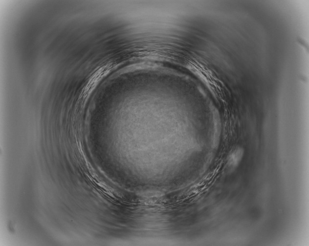 X0000098010241200803281318