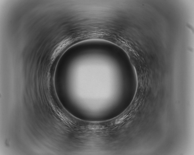 X0000098010242200803281318