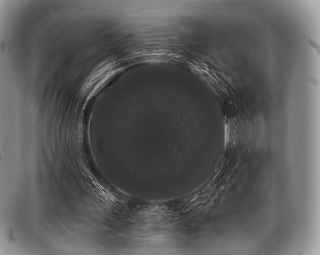 X0000098010243200803281318