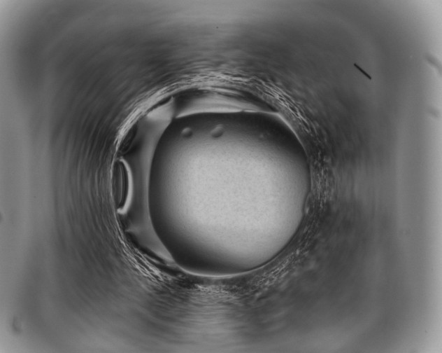X0000098010244200803281318