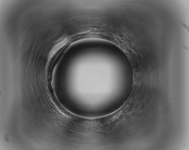 X0000098010245200803281318