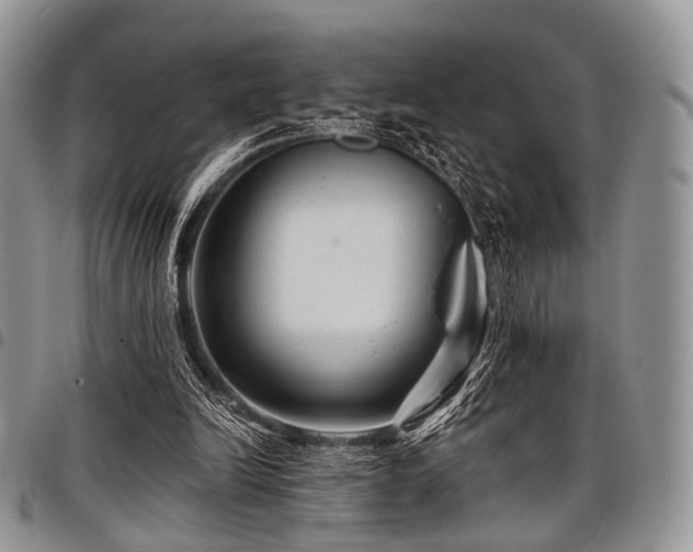 X0000098010246200803281318