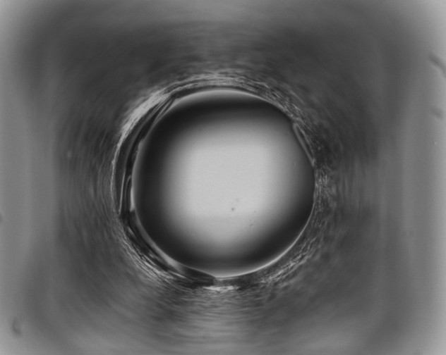 X0000098010248200803281318