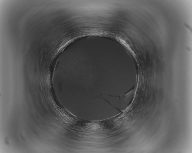 X0000098010249200803281318