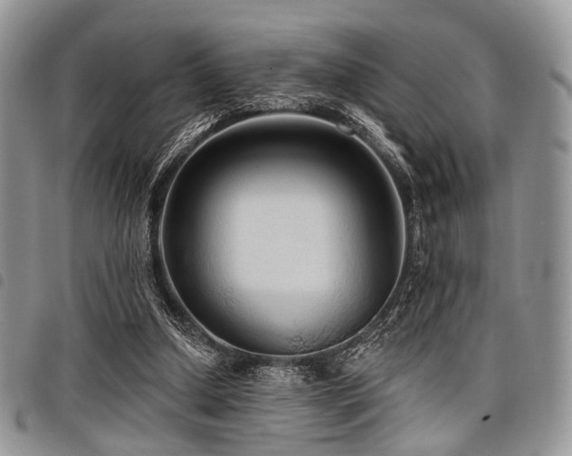 X0000098010250200803281318