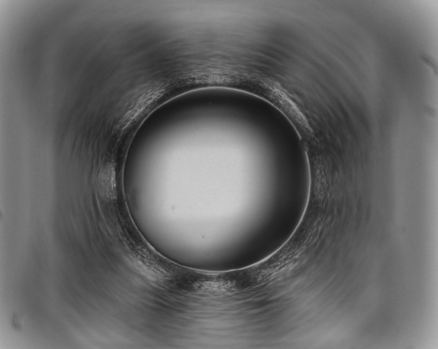 X0000098010251200803281318