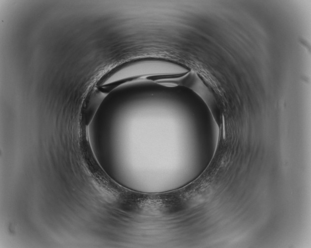 X0000098010252200803281318