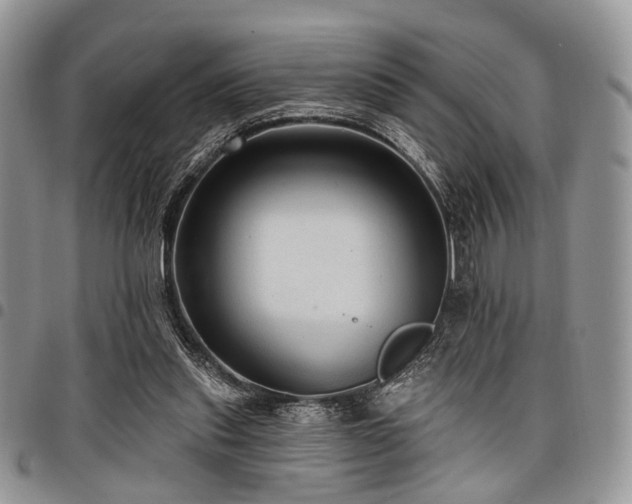 X0000098010253200803281318