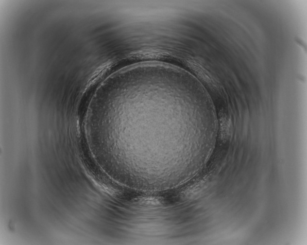 X0000098010254200803281318