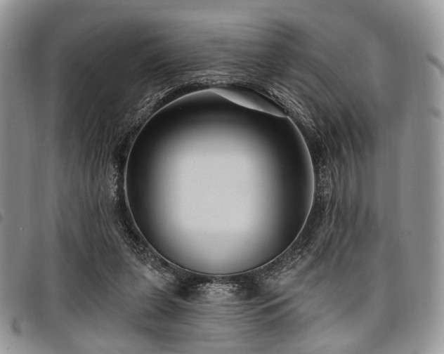 X0000098010255200803281318
