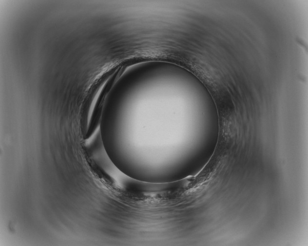 X0000098010256200803281318