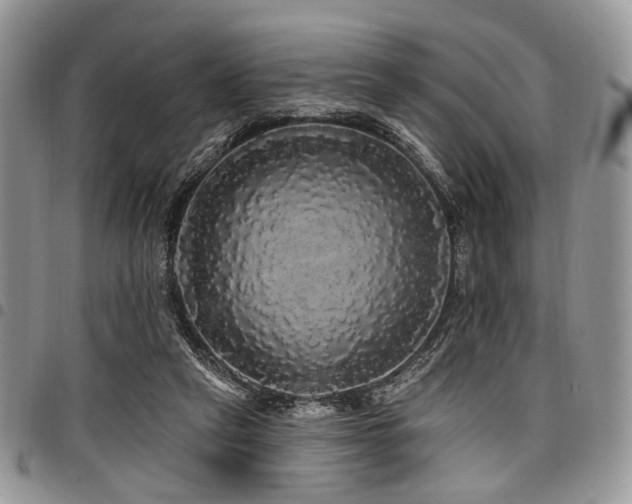 X0000098010257200803281318