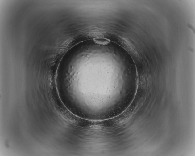 X0000098010259200803281318