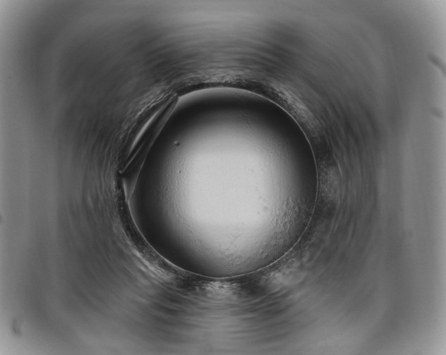 X0000098010261200803281318
