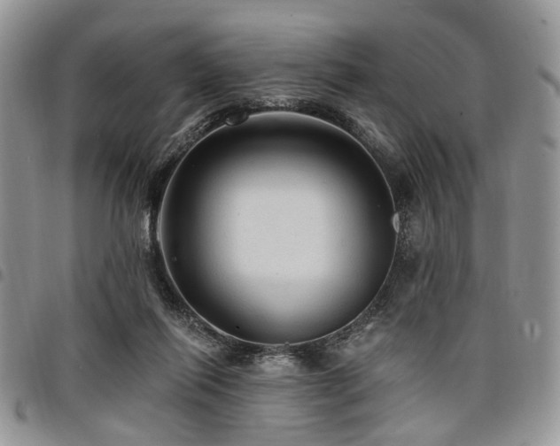 X0000098010262200803281318
