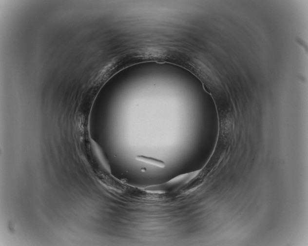 X0000098010264200803281318