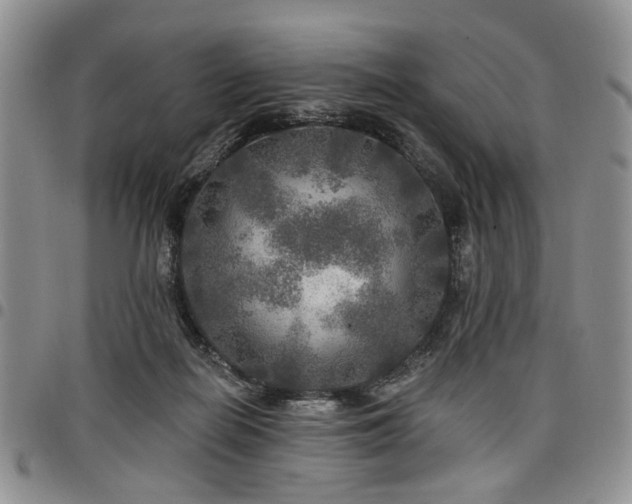 X0000098010266200803281318