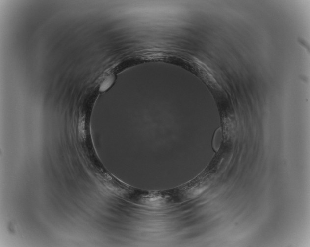 X0000098010267200803281319