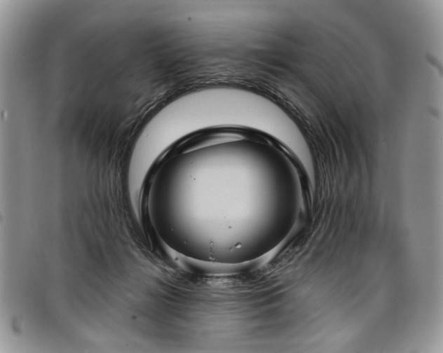 X0000098010268200803281319