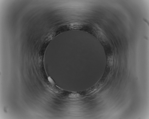 X0000098010271200803281319