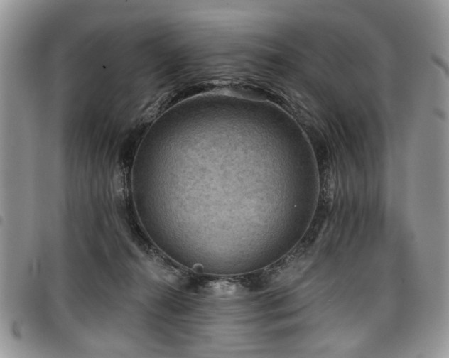 X0000098010272200803281319
