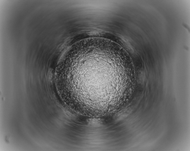 X0000098010273200803281319