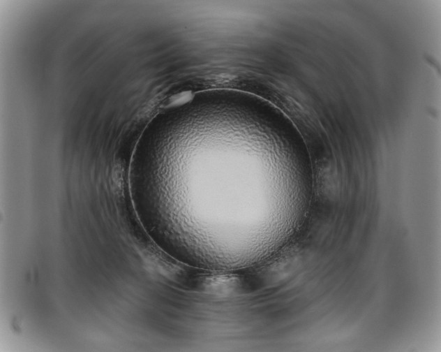 X0000098010274200803281319