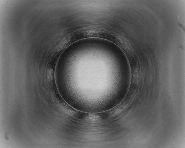 X0000098010278200803281319