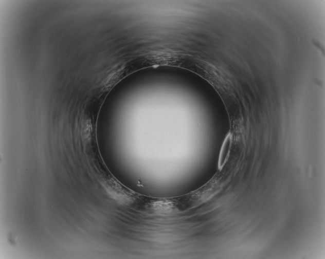 X0000098010279200803281319