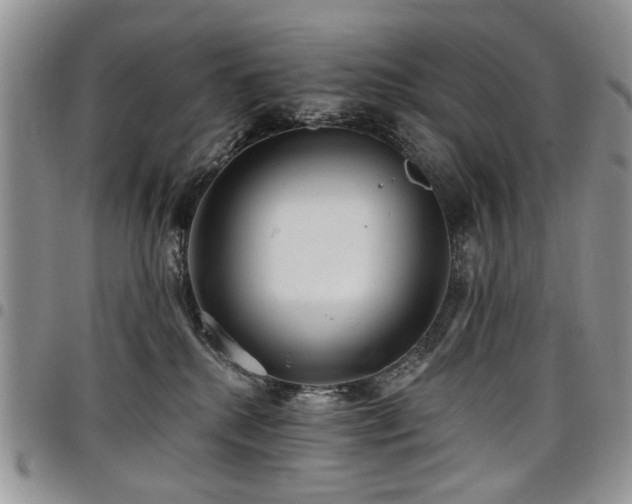 X0000098010280200803281319
