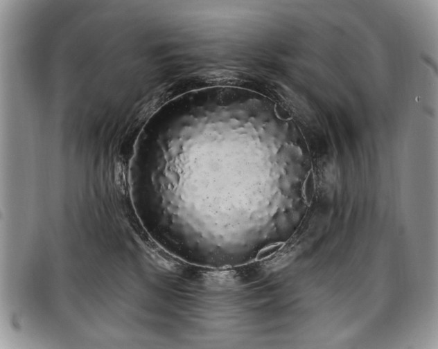 X0000098010281200803281319