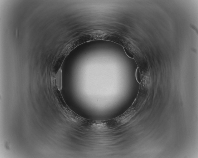 X0000098010283200803281319