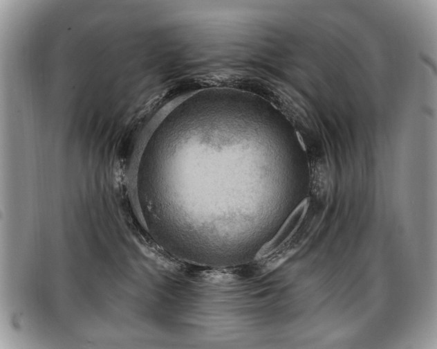 X0000098010284200803281319