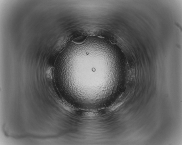 X0000098010286200803281319