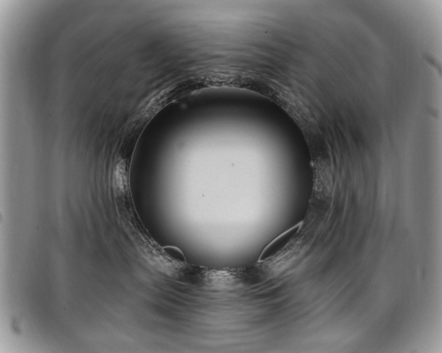 X0000098010287200803281319