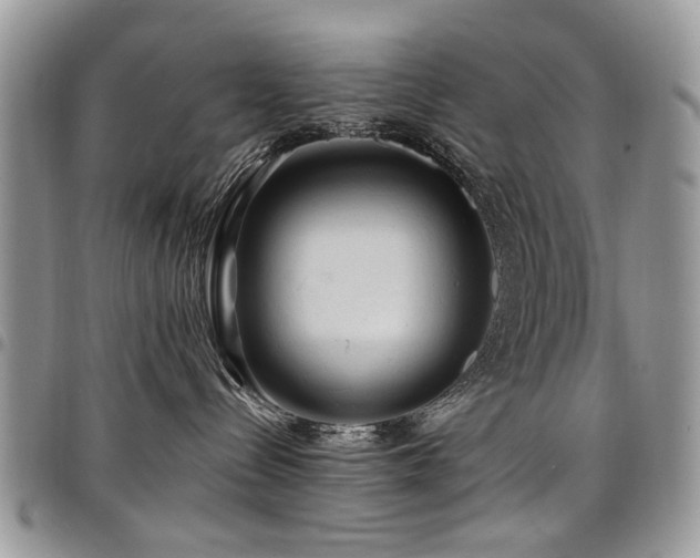 X0000098010288200803281319