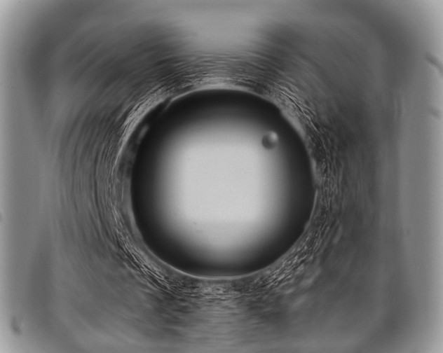 X0000098010289200803281318