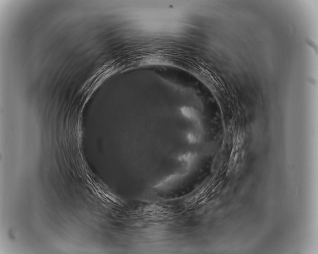 X0000098010290200803281318