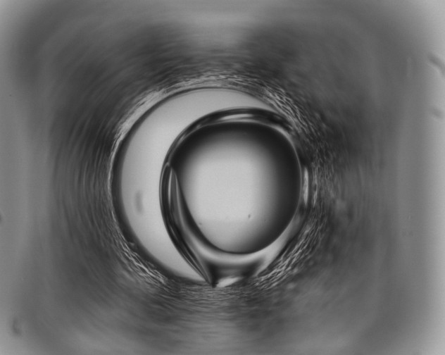X0000098010292200803281318
