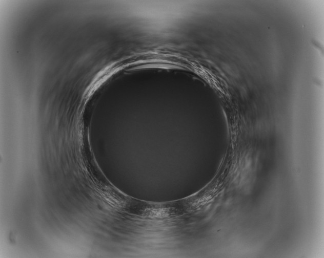 X0000098010295200803281318