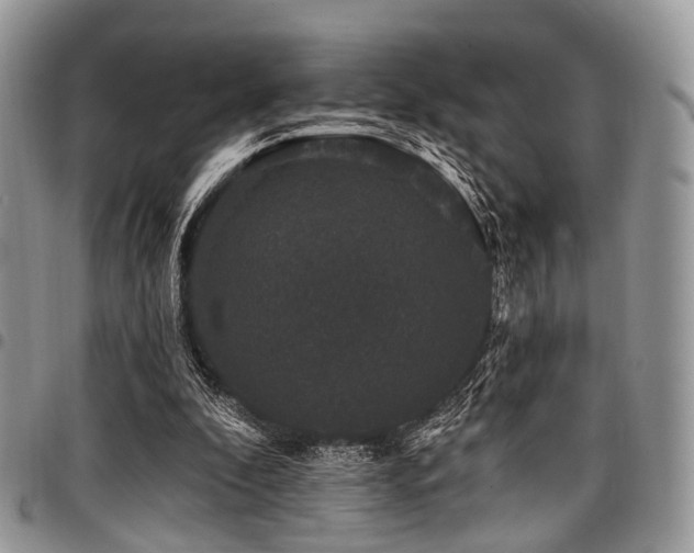 X0000098010296200803281318