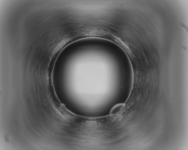 X0000098010298200803281318