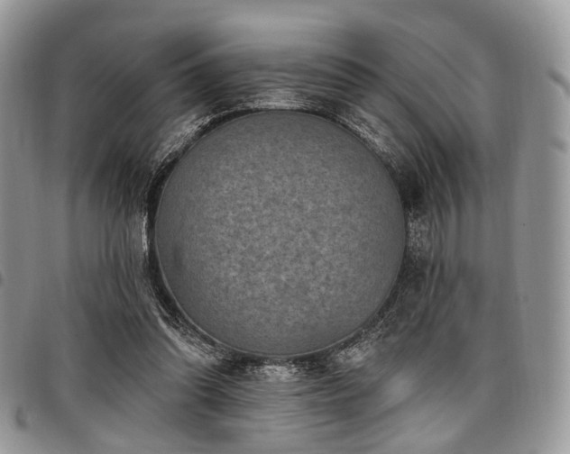 X0000098010302200803281318