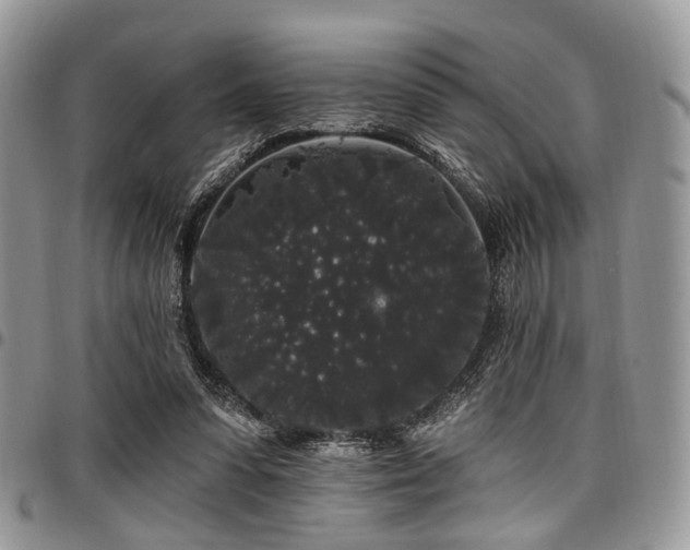 X0000098010303200803281318