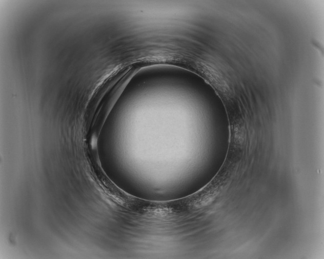 X0000098010304200803281318